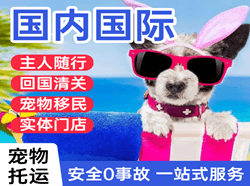 沙堤机场货运国际宠物托运 【国
